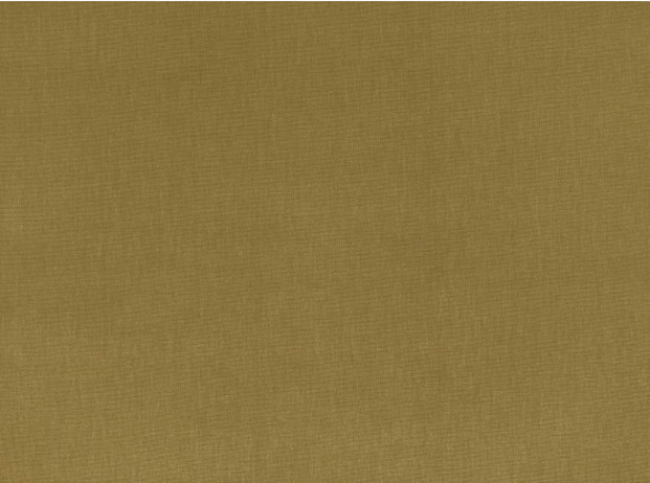Sahara III Fern by Kirkby Design