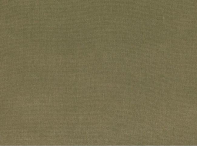 Sahara III Olive by Kirkby Design