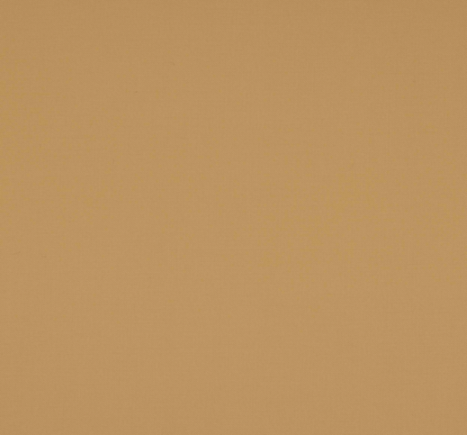Dandy Sand by Larsen