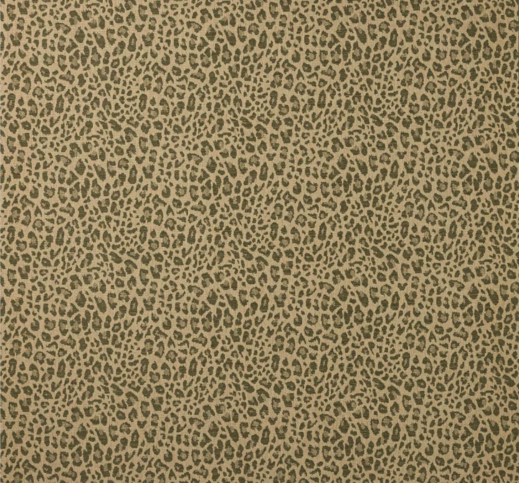 Chester Olive by Colefax and Fowler