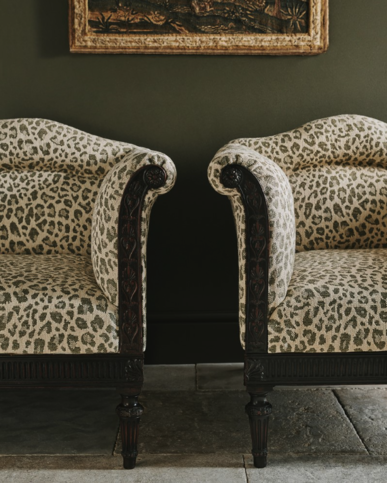 Chester Olive by Colefax and Fowler