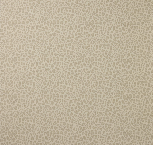 Chester Silver by Colefax and Fowler