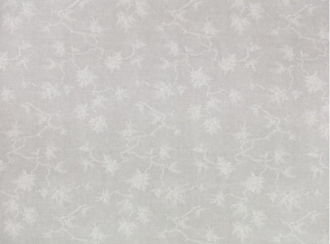 Bonsai Silverbirch Fabric by Mark Alexander 