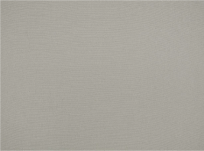 Flanders Silverbirch Fabric by Mark Alexander 
