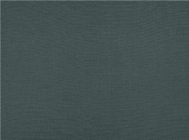 Flanders Tempest Fabric by Mark Alexander 
