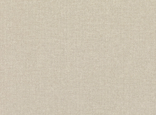 Andante Cement Fabric by Mark Alexander 