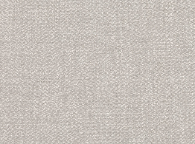 Array Silverbirch Fabric by Mark Alexander 