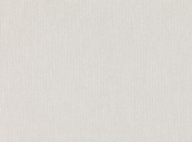 Glimpse Silvershell Fabric by Mark Alexander 