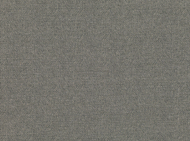 Sauvage Anthracite Fabric by Mark Alexander 