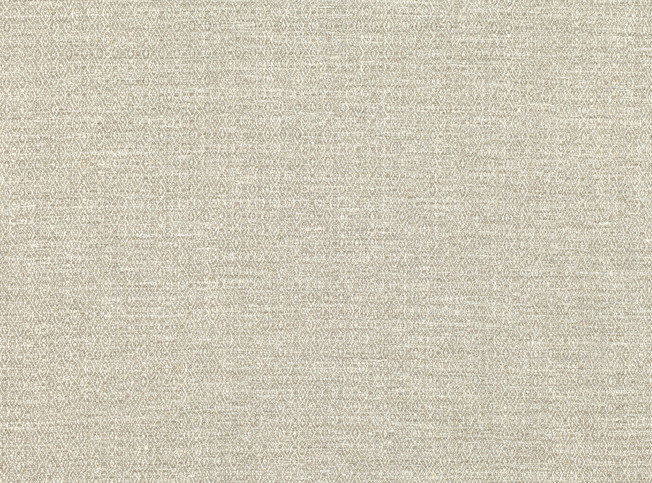 Sashiko Fossil Fabric by Mark Alexander 