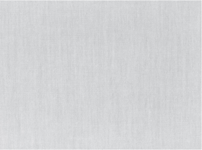 Nantucket Dove Fabric by Mark Alexander 