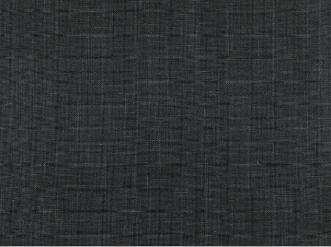 Patina Obsidian Fabric by Mark Alexander 