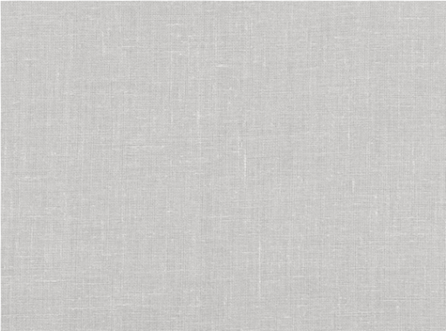 Patina Silverbirch Fabric by Mark Alexander 