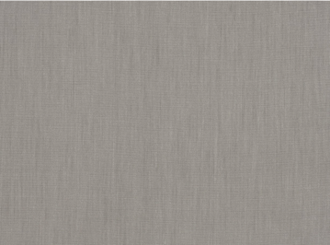 Retro Silver Birch Fabric by Mark Alexander 