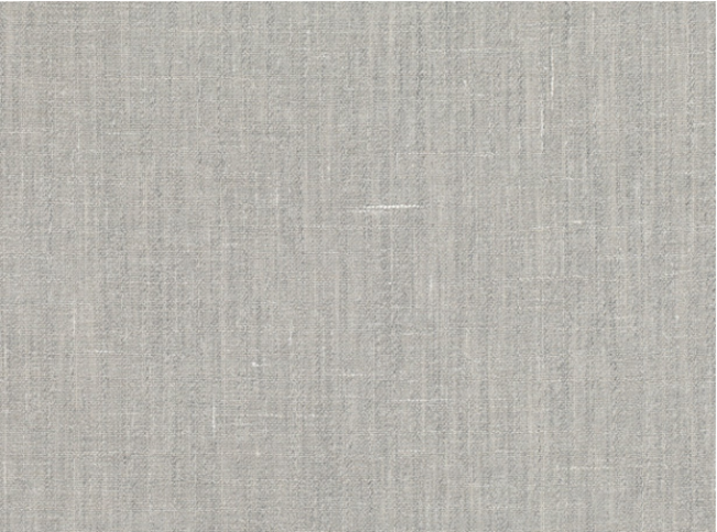 Reveal Silverbirch Fabric by Mark Alexander 