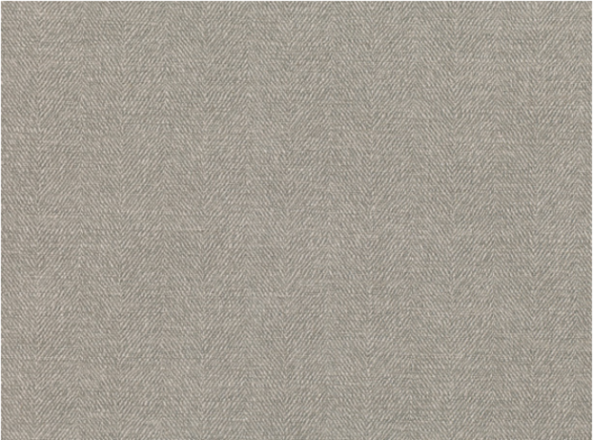 Sauvage Gunmetal Fabric by Mark Alexander 