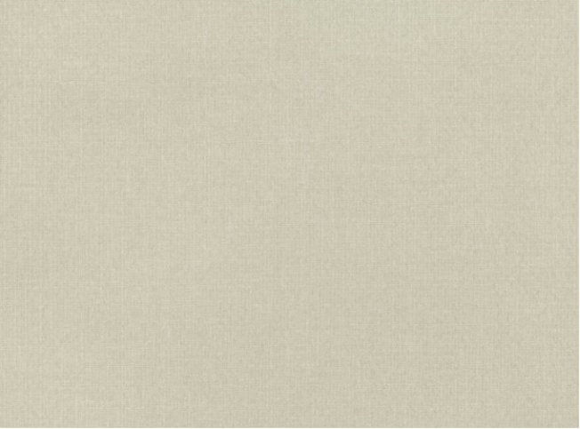 Shifu Latte Wallcovering by Mark Alexander