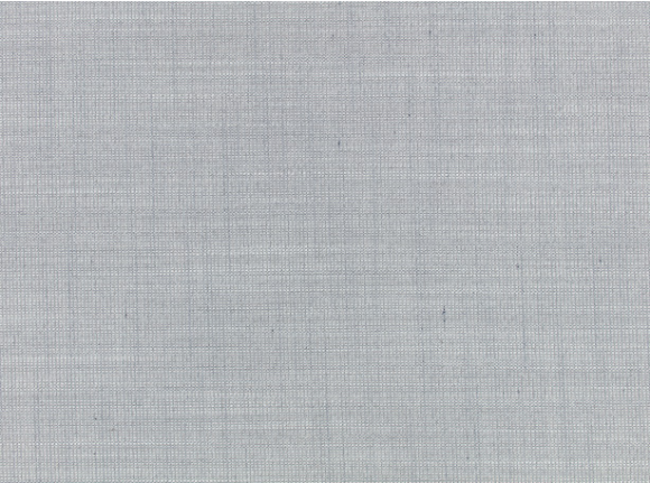 Veranda Canvas Dove Fabric by Mark Alexander 