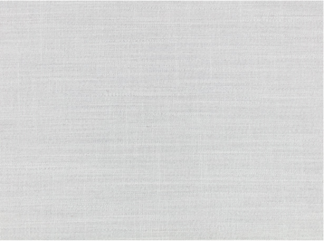 Veranda Canvas Silverbirch Fabric by Mark Alexander 