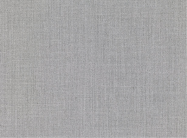 Veranda Silverbirch Fabric by Mark Alexander 