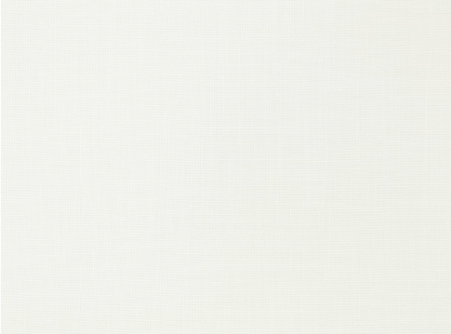 Veranda Soft Jasper White Fabric by Mark Alexander 