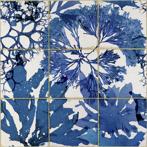 Algae in Blue Wallpaper by Mind The Gap 