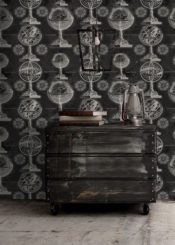 Armillary Black Wallpaper by Mind The Gap 