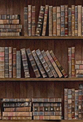 Book Shelves Wallpaper by Mind The Gap 