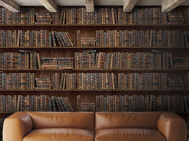 Book Shelves Wallpaper by Mind The Gap 