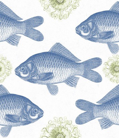 Fish Blue Wallpaper by Mind The Gap 