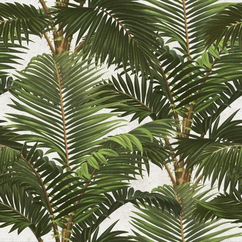 Jardin Tropical Wallpaper by Mind The Gap 