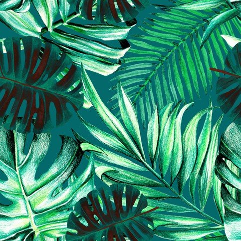 Rainforest Wallpaper by Mind The Gap 