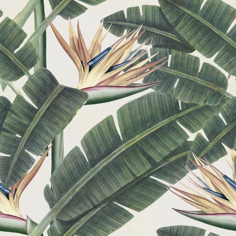 Tropical Bloom Wallpaper by Mind The Gap 