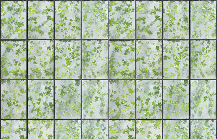Greenhouse Wallcovering by NLXL 