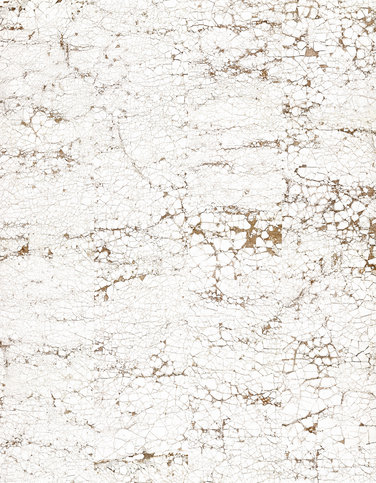 Crack Wallcovering by NLXL 