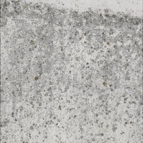 Weathered Moss Wallcovering by NLXL 