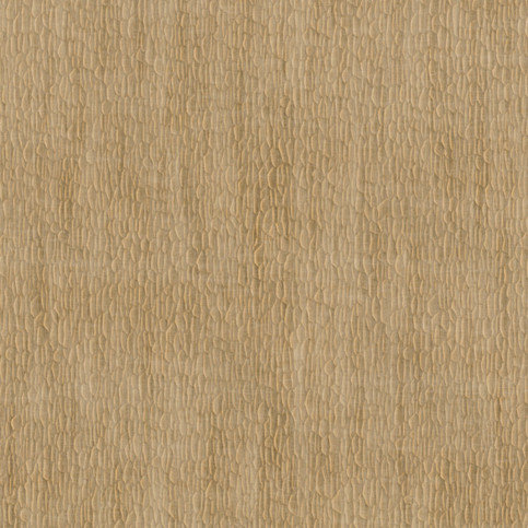 Gouge Wallcovering by Nobilis
