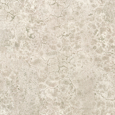 Moon Wallcovering by Nobilis