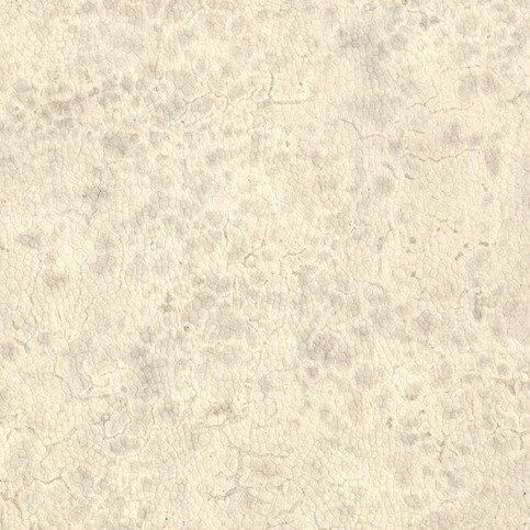 Moon Wallcovering by Nobilis