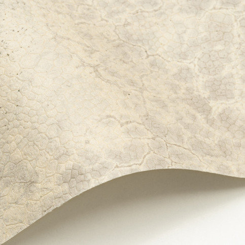 Moon Wallcovering by Nobilis