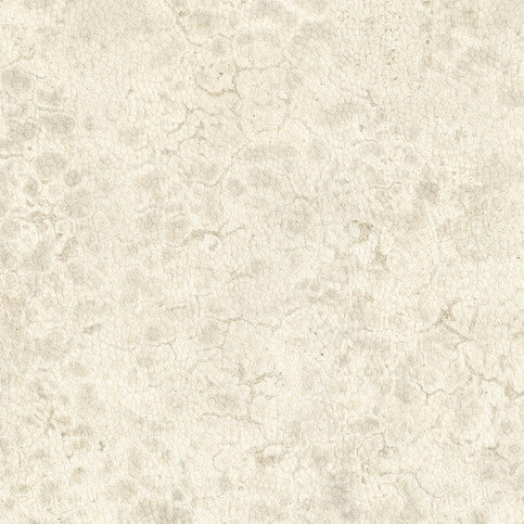 Moon Wallcovering by Nobilis