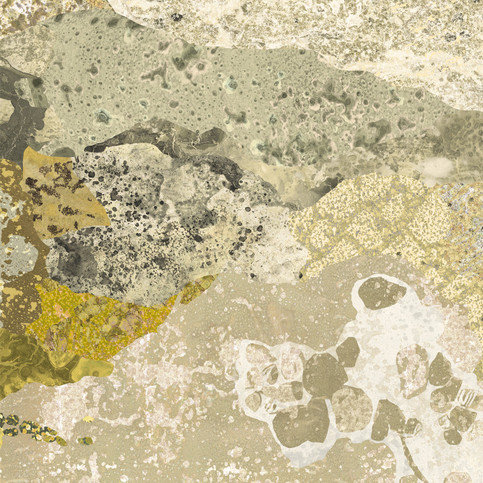 Oreades Wallcovering by Nobilis