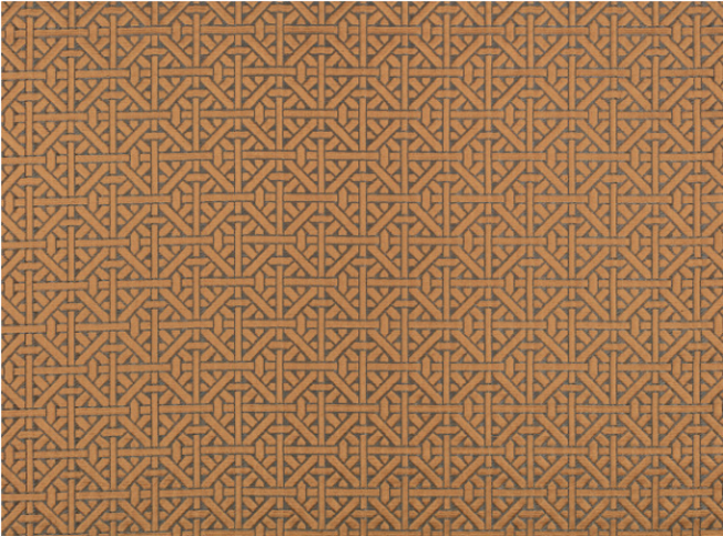 Dita Spiced Cider Fabric by Temperley London x Romo