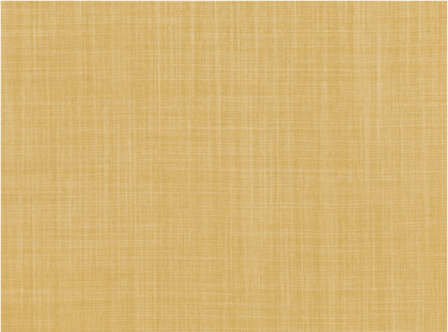 Dune Iora by Romo