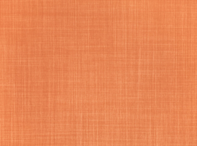 Dune Pumpkin by Romo