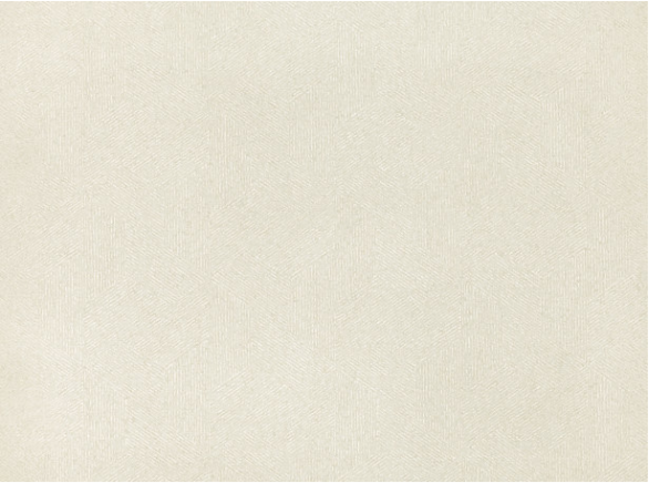Escher Shell Wallcovering by Romo