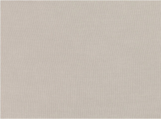 Istra Taupe by Romo