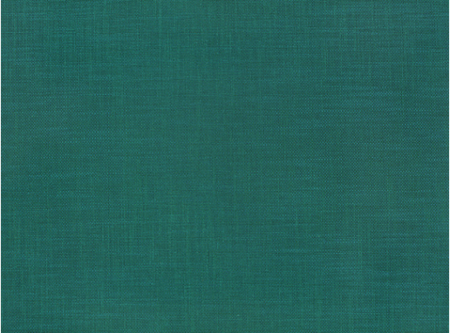 Kensey Indian Green by Romo