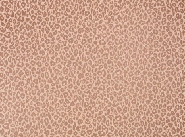 Kitty Wallcovering Powder Room by Temperley London x Romo