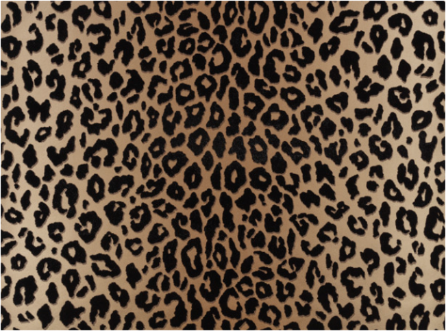 Mimi Wallcovering Tan by Temperley London x Romo